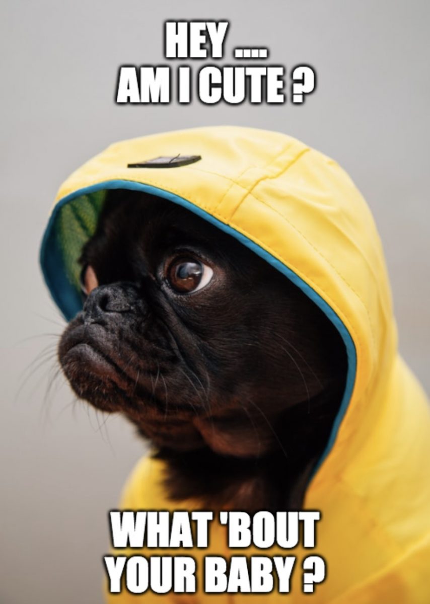 Cute Baby Contest 2021 Kids & Baby Photo Contests Cute1